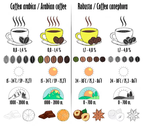 How Many Scoops Of Coffee For 12 Cups A Completely Amazing Guide For 