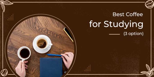 Best Coffee For Studying 3 Option For You Mountain Lyon Cafe