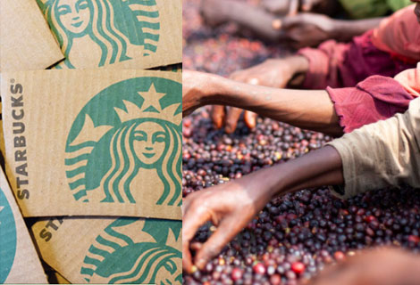 Is Starbucks Coffee Organic?