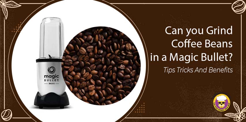 Can you Grind Coffee Beans in a Magic Bullet